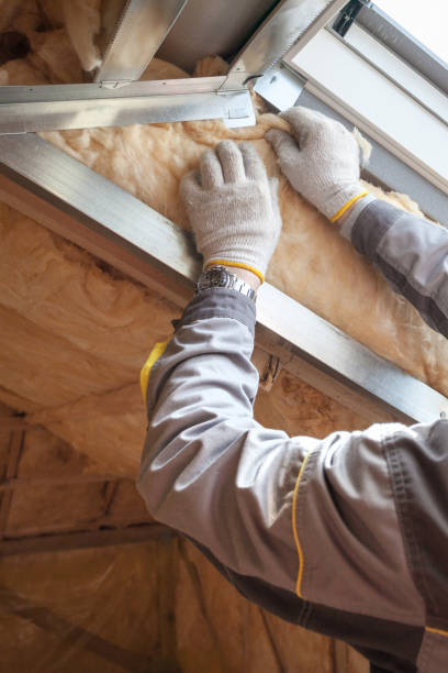 Best Insulation Contractor Near Me  in Janesville, MN