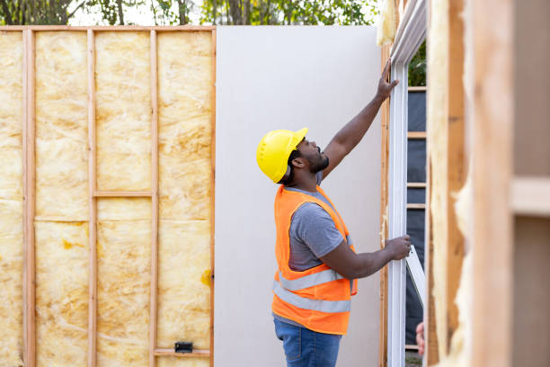 Best Attic Insulation Installation  in Janesville, MN